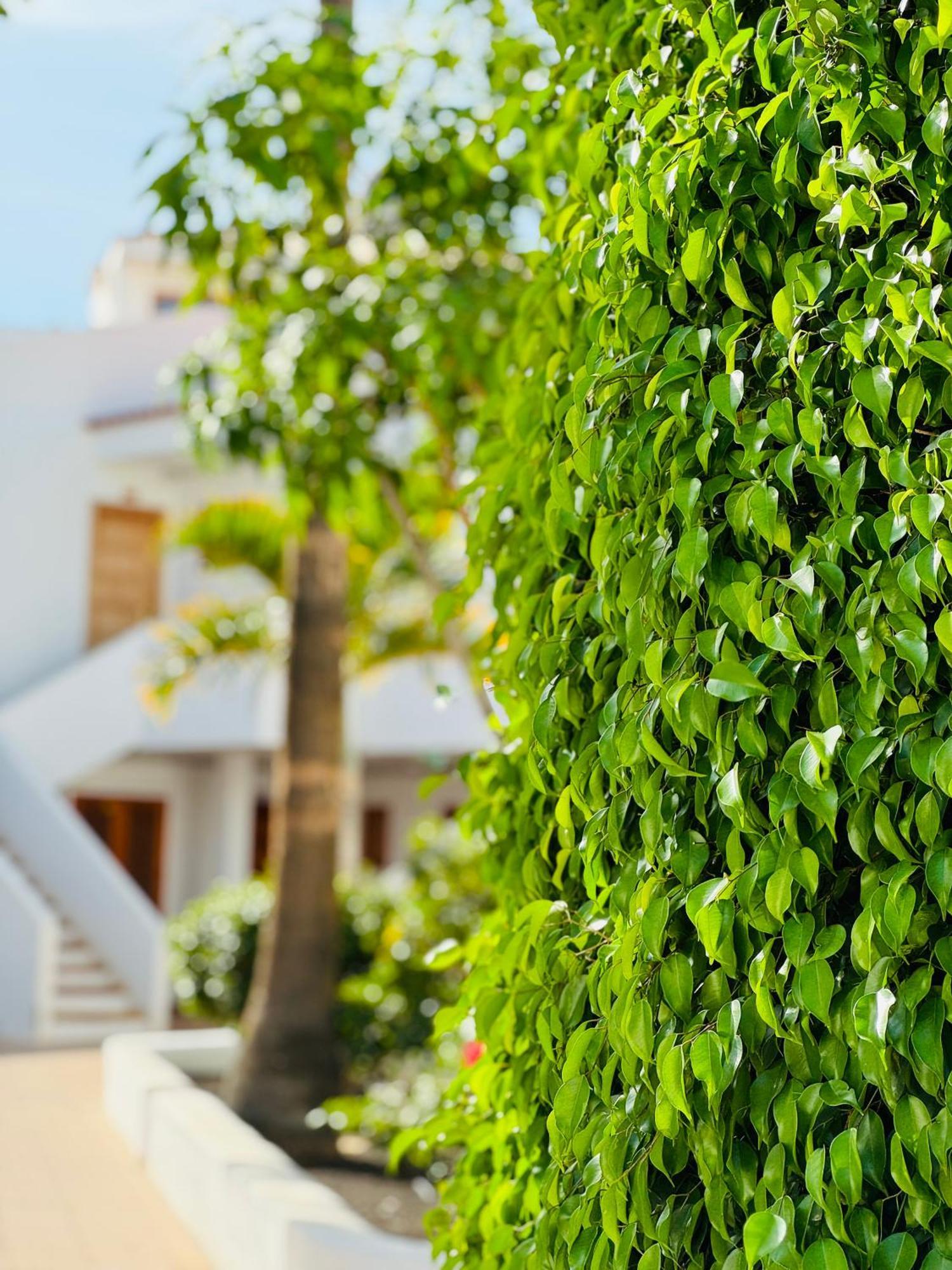 Garden City Private Apartment Costa Adeje Playa Fanabe Exterior photo